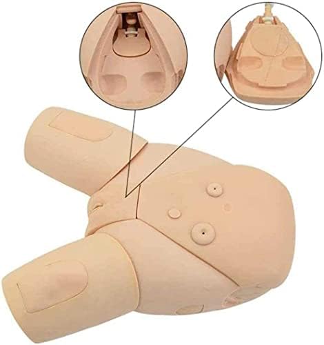 ZQHJ Model kateterizacije mokraće muške i ženske manikinske sestrinske prakse Simulator Izmjenjivi maneken za medicinsku obuku za njegu