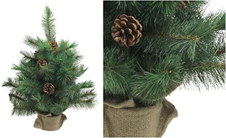 2 'Kraljevski Oregon dugački borovo božićno drvce - CC