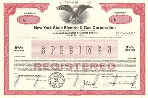 Njujorška državna električna i plinska korporacija-obveznica