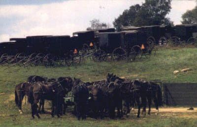Razglednica Amish Country, Ohio