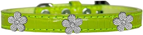 Mirage Pet Products Silver Flower Widget Croc Dog Collar Vapne Green Veličina 10