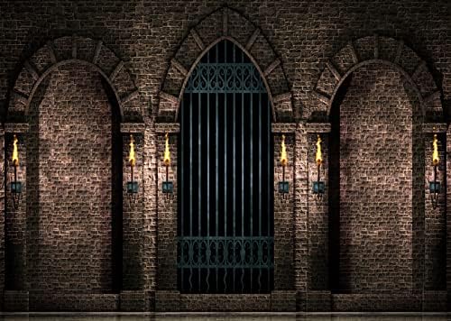 12.8.8. pozadina od tkanine za fotografiranje gotičkog dvorca drevni kameni zid lukovi željezna vrata baklje zatvorski hodnik pozadina