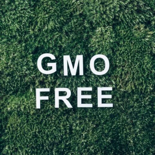 Mistični trenuci | Esencijalno ulje od breze 500g - čisto i prirodno ulje za difuzore, aromaterapiju i masažne mješavine veganski GMO
