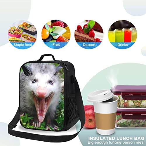 Cvrčava torba za ručak s oposumom na jedno rame ženska izolirana torba za ručak za djevojčice za višekratnu upotrebu vodootporna torba