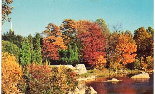Razgledna kartica: Arboretum Connecticut, Foto William A. Niering,